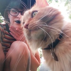 Meet your Posher, Stephanie